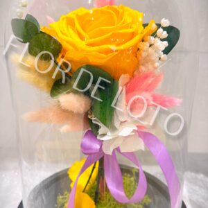 Cúpula Rosa Amarilla Preservada
