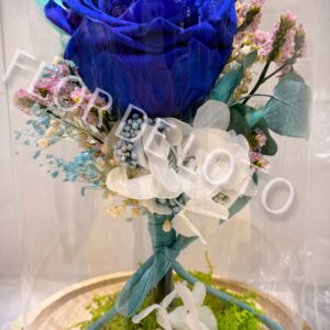 Cúpula Rosa Azul Preservada