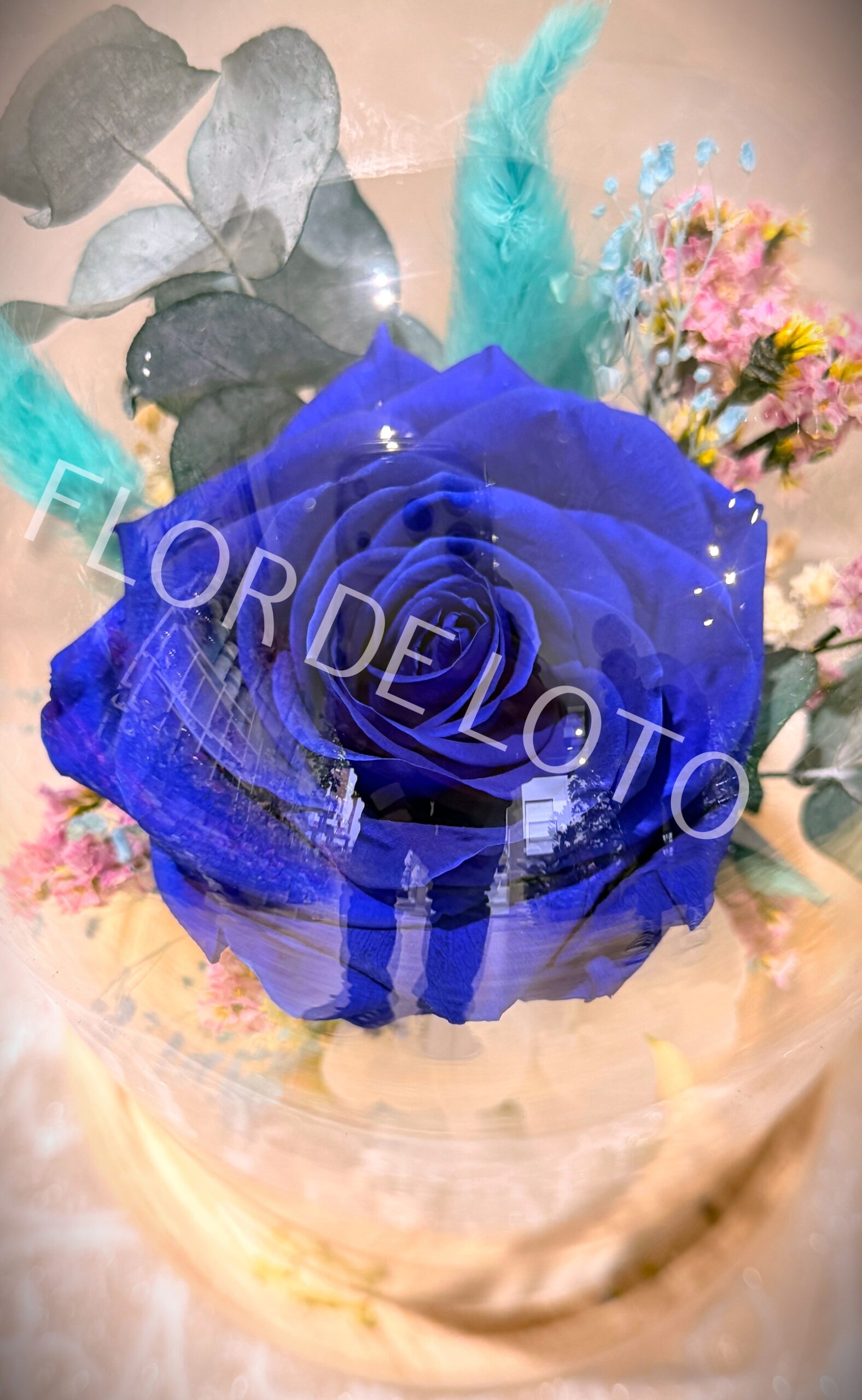 Cúpula Rosa Azul Preservada - Imagen 3