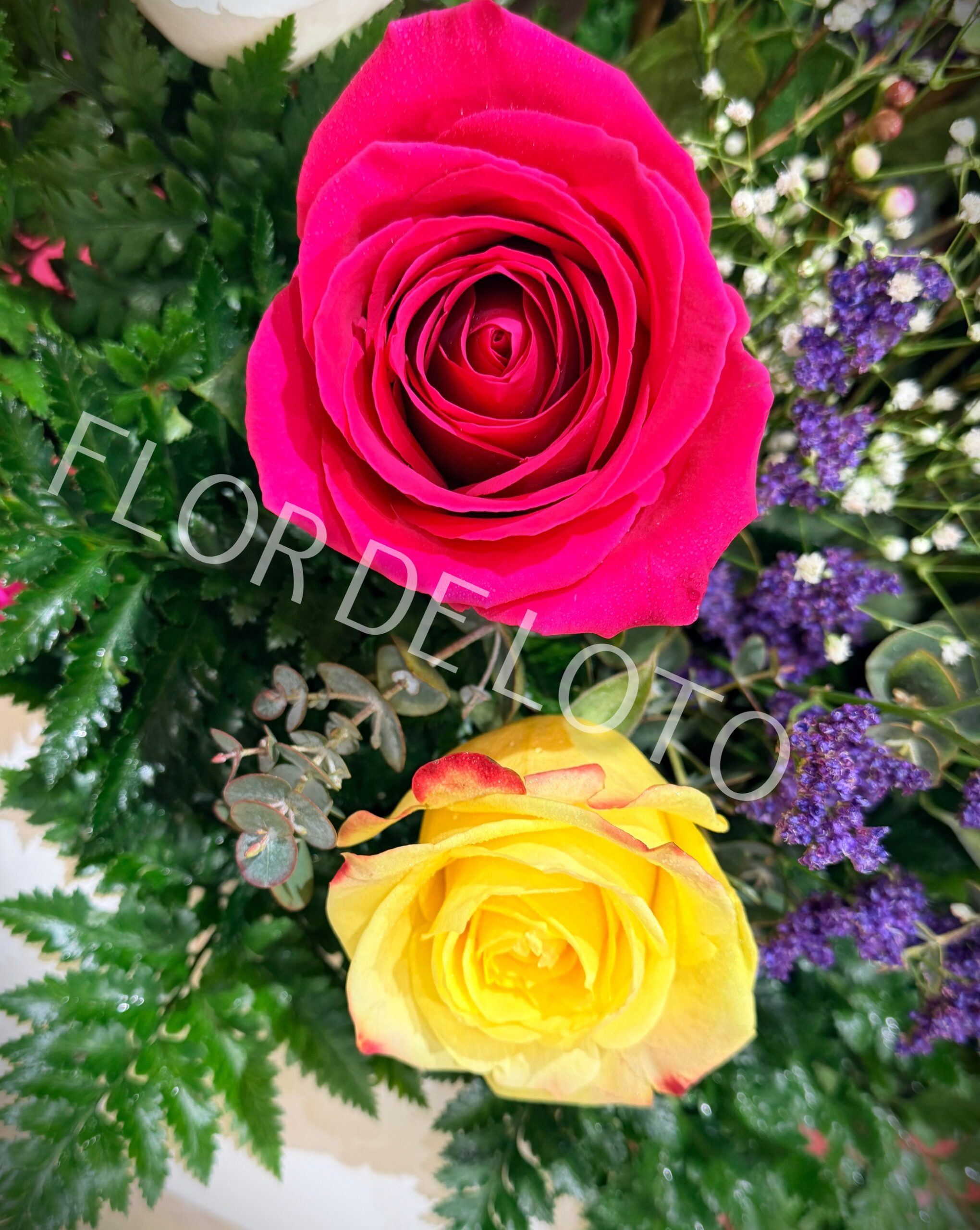 Ramo de 12 Rosas Multicolor - Imagen 4